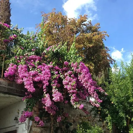 Raoul 아파트 살로